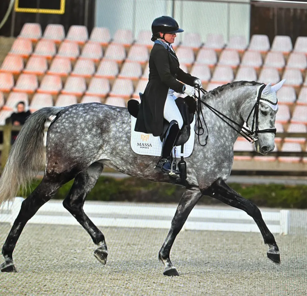 Dressage chevaux à Milly-la-Forêt