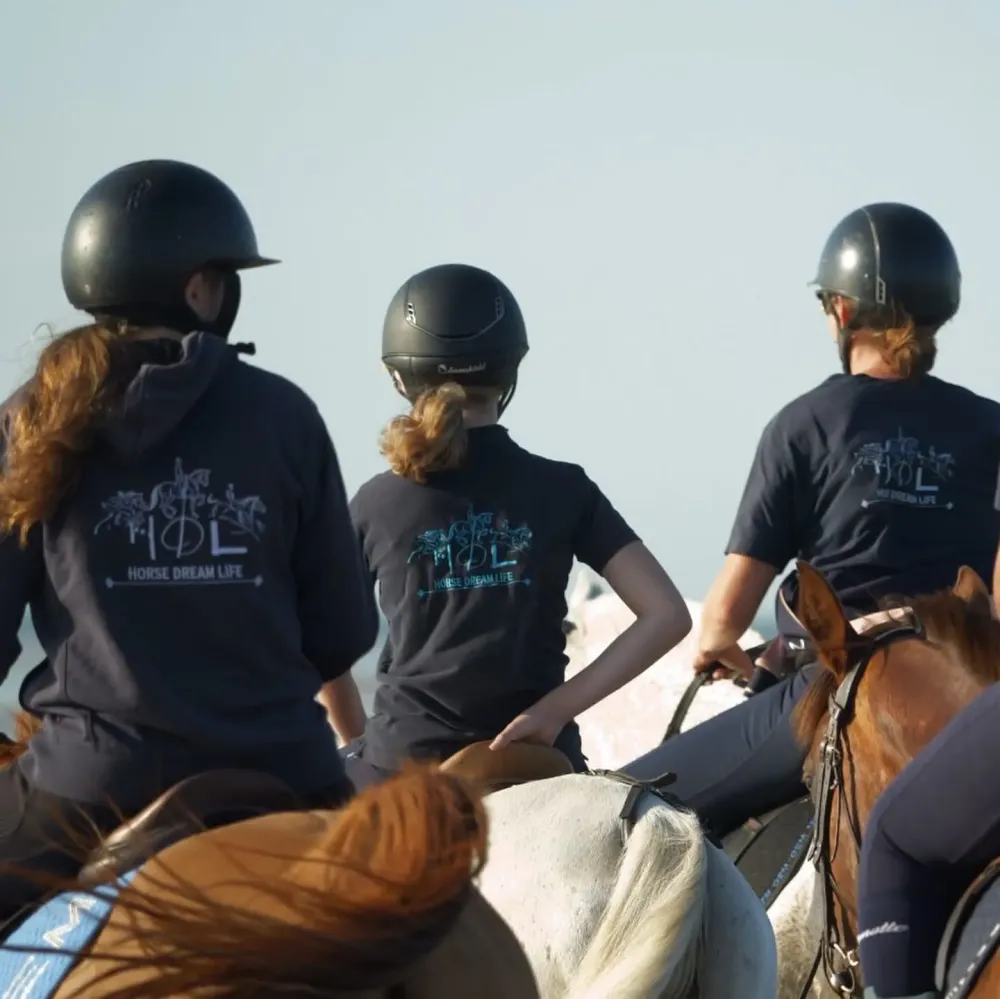Écurie de propriétaire à Milly-la-Forêt