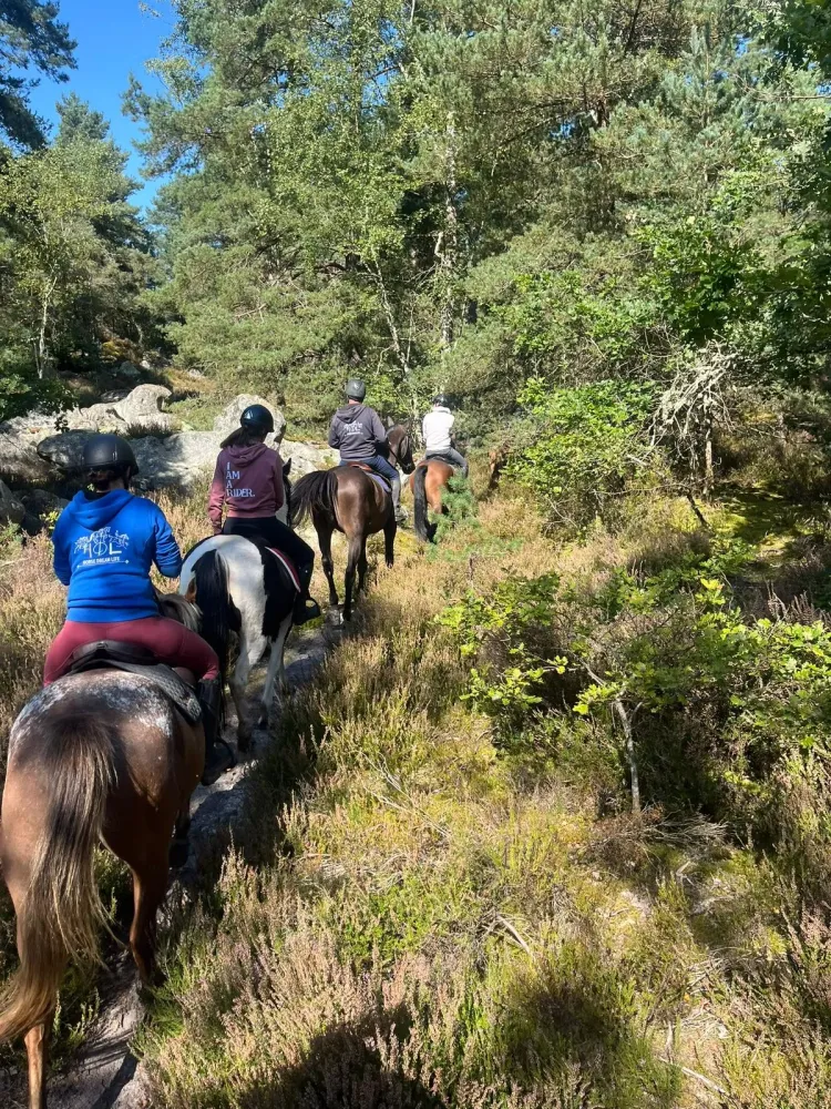 Balade à cheval en forêt à Milly-la-Forêt