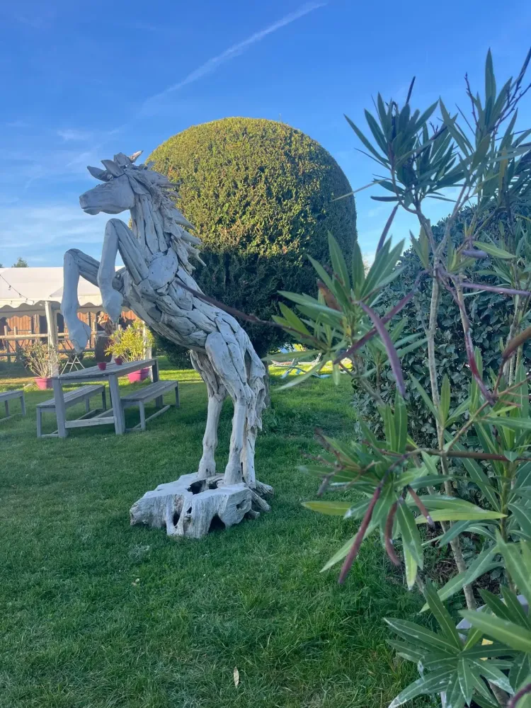 Poney club à Milly-la-Forêt