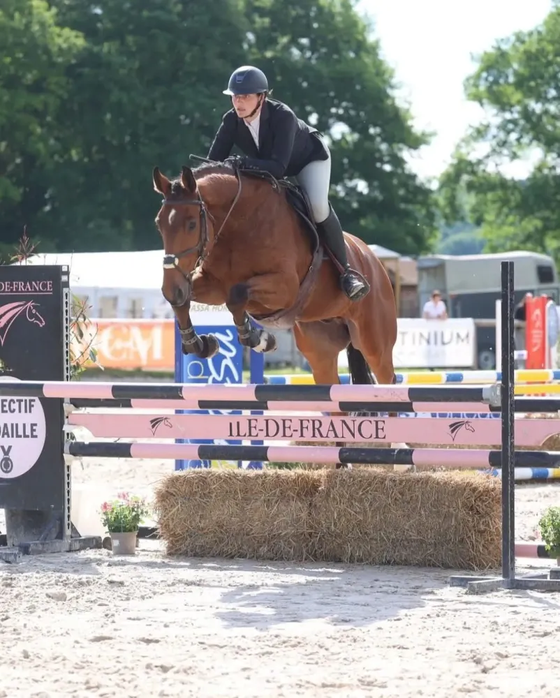 Pension chevaux à Milly-la-Forêt